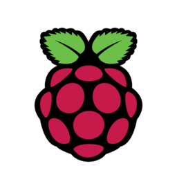 raspberry_pi_icon_1308473